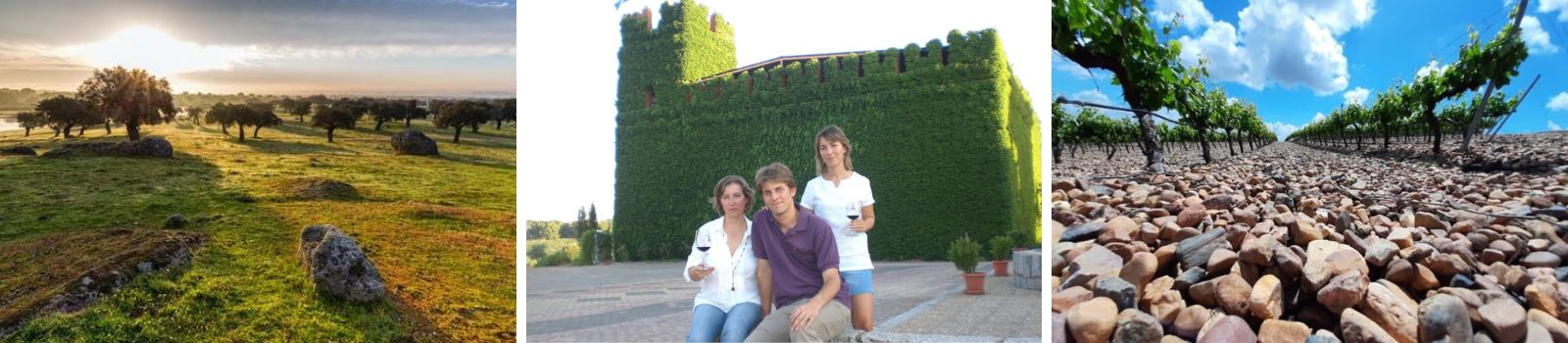 Bodegas Coloma